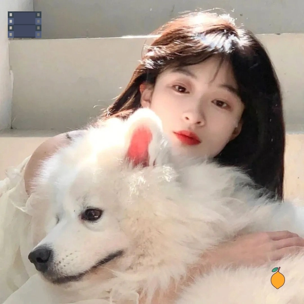 杨磊用户
